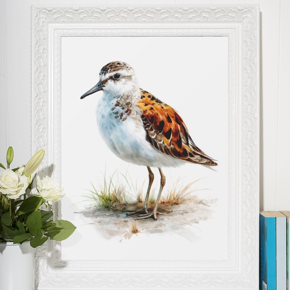 Watercolor Sandpiper Bird Portrait Wall Art Print, Unframed - Coastal Serenity - Picture 7 of 7